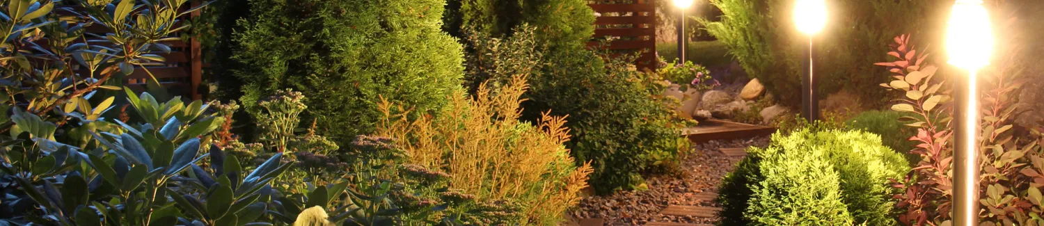 Landscape Lighting