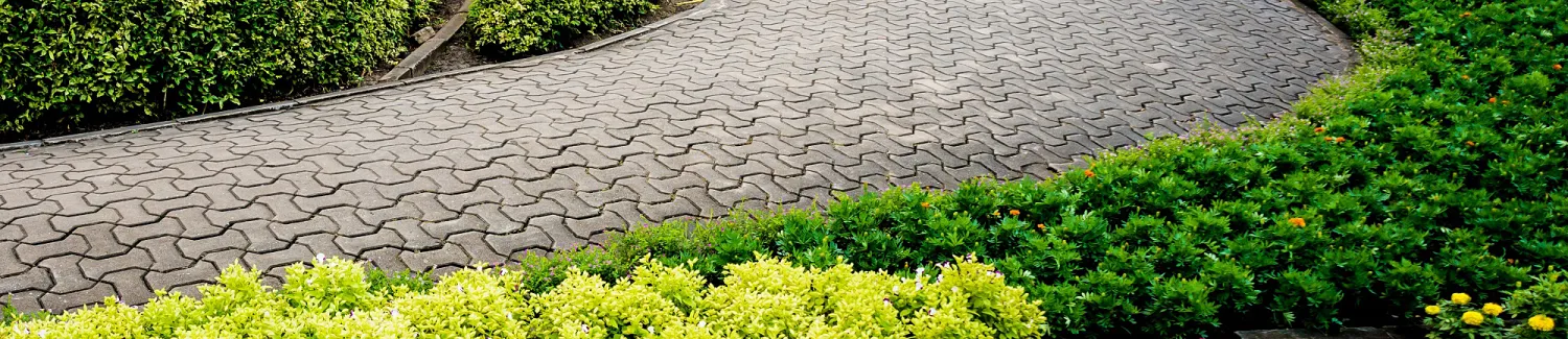 Landscape Design