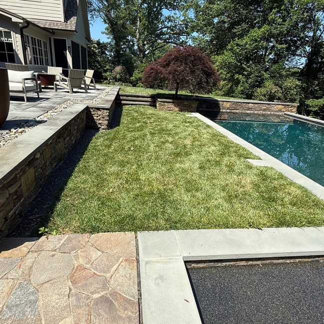 Mullins Poolside Project: Before