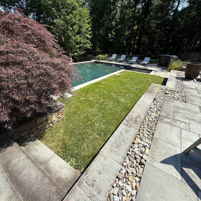 Mullins Poolside Project: Before
