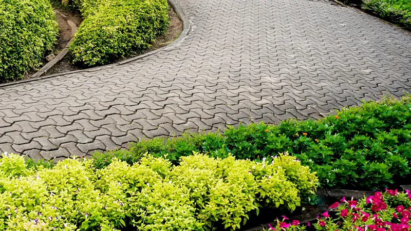 Landscape Design