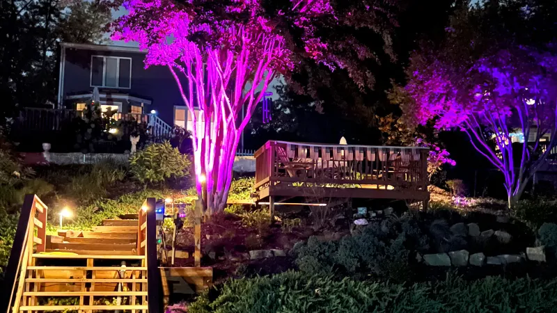 Backyard Lighting Installation