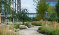 Hardscape Design & Install