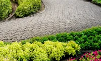 Landscape Design