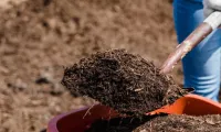 Mulch Delivery & Install
